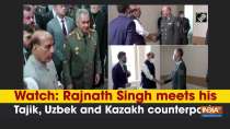 Watch: Rajnath Singh meets his Tajik, Uzbek and Kazakh counterparts
