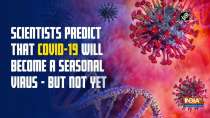 Scientists predict that COVID-19 will become a seasonal virus - but not yet