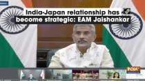 India-Japan relationship has become strategic: EAM Jaishankar