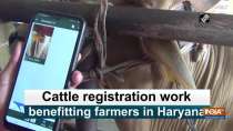 Cattle registration work benefitting farmers in Haryana