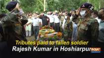 Tributes paid to fallen soldier Rajesh Kumar in Hoshiarpur
