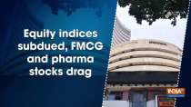 Equity indices subdued, FMCG and pharma stocks drag