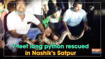 7-feet long python rescued in Nashik