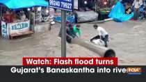 Watch: Flash flood turns Gujarat