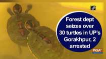 Forest dept seizes over 30 turtles in UP’s Gorakhpur, 2 arrested
