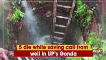 5 die while saving calf from well in UP