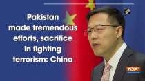 Pakistan made tremendous efforts, sacrifice in fighting terrorism: China