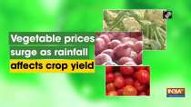 Vegetable prices surge as rainfall affects crop yield