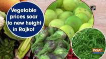 Vegetable prices soar to new height in Rajkot
