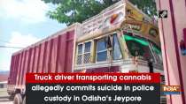 Truck driver transporting cannabis allegedly commits suicide in police custody in Odisha