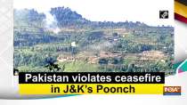 Pakistan violates ceasefire in J&K