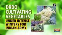 DRDO cultivating vegetables under intense winters for Indian Army