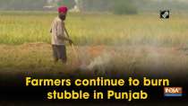 Farmers continue to burn stubble in Punjab