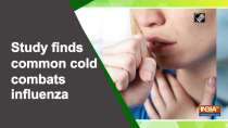 Study finds common cold combats influenza
