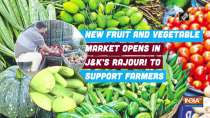New fruit and vegetable market opens in JandK