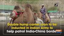 Double hump camel soon to be inducted in Indian Army to help patrol India-China border