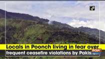 Locals in Poonch living in fear over frequent ceasefire violations by Pakistan