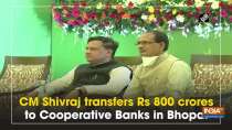 CM Shivraj transfers Rs 800 crores to Cooperative Banks in Bhopal