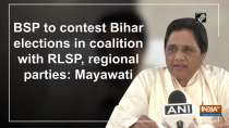 BSP to contest Bihar elections in coalition with RLSP, regional parties: Mayawati
