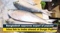 Bangladesh approves export of popular hilsa fish to India ahead of Durga Puja