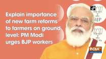 Explain importance of new farm reforms to farmers on ground level: PM Modi urges BJP workers