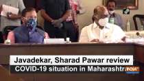 Javadekar, Sharad Pawar review COVID-19 situation in Maharashtra