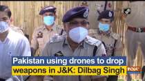Pakistan using drones to drop weapons in JK: Dilbag Singh