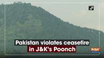 Pakistan violates ceasefire in J-K