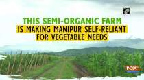 This semi-organic farm is making Manipur self-reliant for vegetable needs