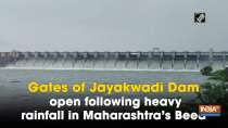 Gates of Jayakwadi Dam open following heavy rainfall in Maharashtra