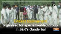 Cricket tournament organised for specially-abled group in Jammu and Kashmir