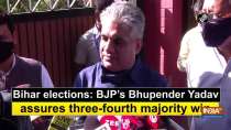 Bihar elections: BJP