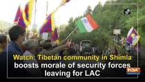 Watch: Tibetan community in Shimla boosts morale of security forces leaving for LAC