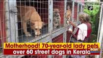 Motherhood! 70-year-old lady pets over 60 street dogs in Kerala
