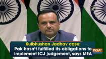 Kulbhushan Jadhav case: Pak hasn