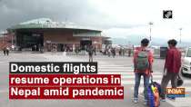 Domestic flights resume operations in Nepal amid pandemic