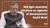 Will fight assembly elections on agenda of development: Sushil Modi