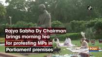 Rajya Sabha Dy Chairman brings morning tea for protesting MPs in Parliament premises