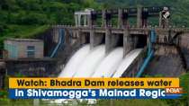 Watch: Bhadra Dam releases water in Shivamogga