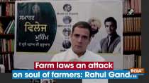 Farm laws an attack on soul of farmers: Rahul Gandhi
