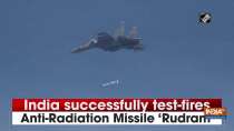 India successfully test-fires Anti-Radiation Missile 
