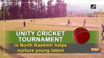 Unity Cricket Tournament in North Kashmir helps nurture young talent