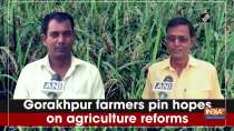 Gorakhpur farmers pin hopes on agriculture reforms