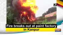 Fire breaks out at paint factory in Kanpur