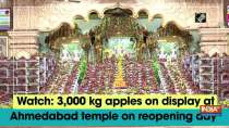 Watch: 3,000 kg apples on display at Ahmedabad temple on reopening day