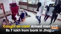 Caught on cam! Armed men loot Rs 7 lakh from bank in Jhajjar