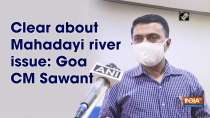 Clear about Mahadayi river issue: Goa CM Sawant