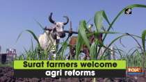 Surat farmers welcome agri reforms