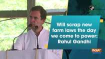 Will scrap new farm laws the day we come to power: Rahul Gandhi