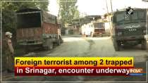 Foreign terrorist among 2 trapped in Srinagar, encounter underway